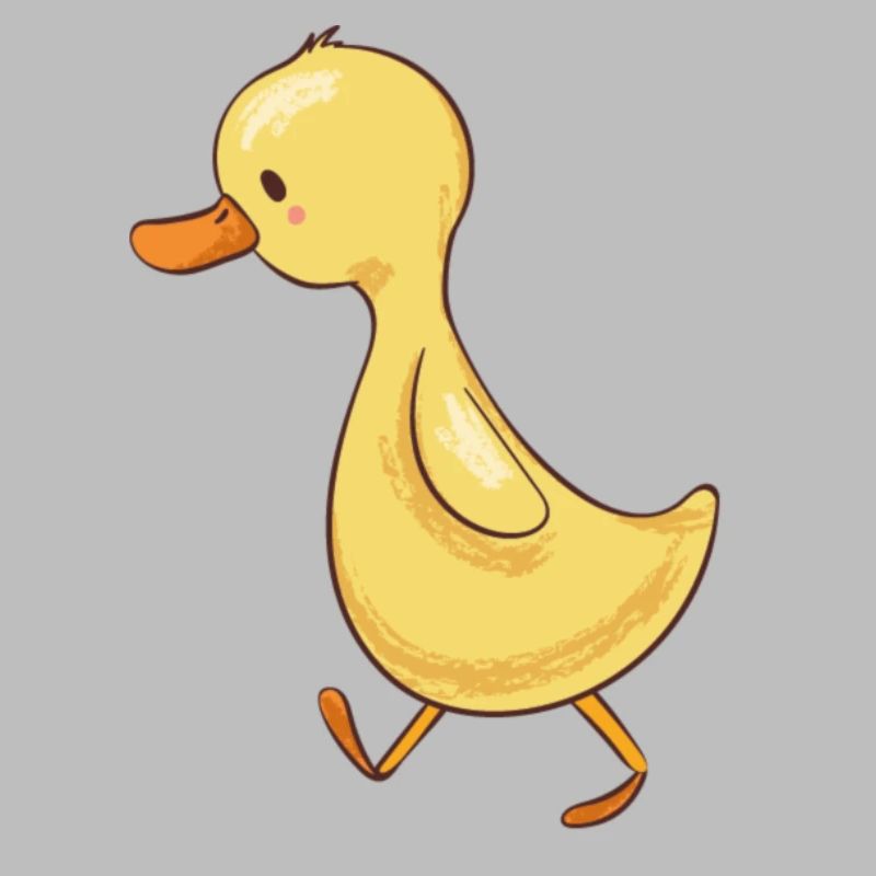 Canard
