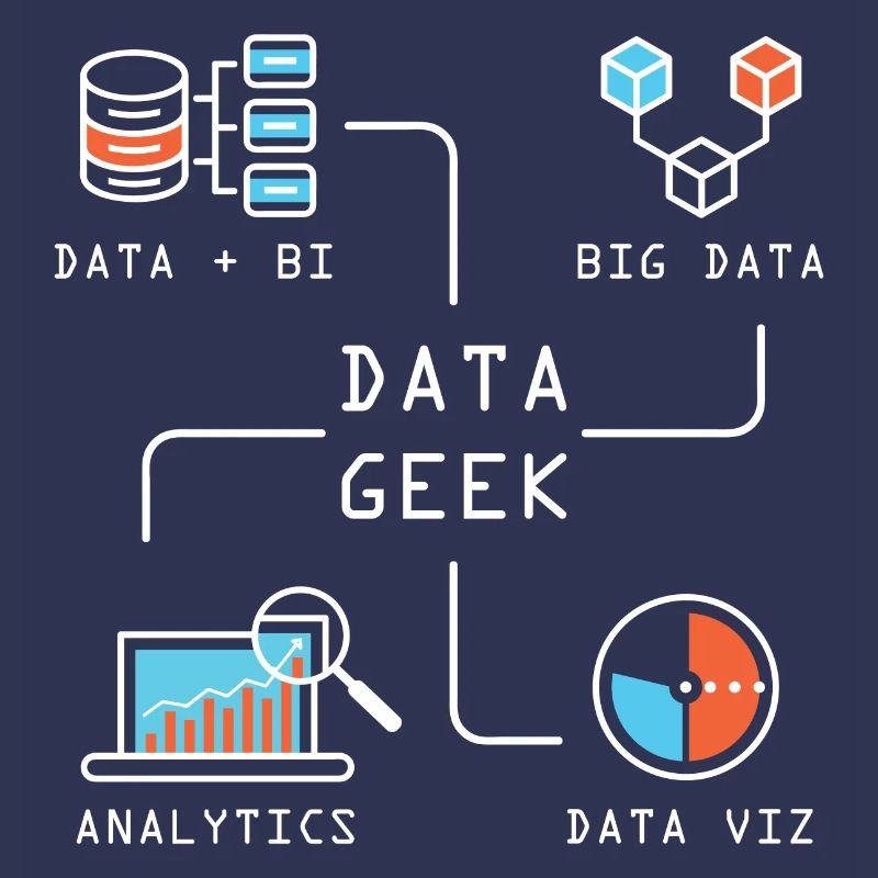 Data Geek Softwareentwickler