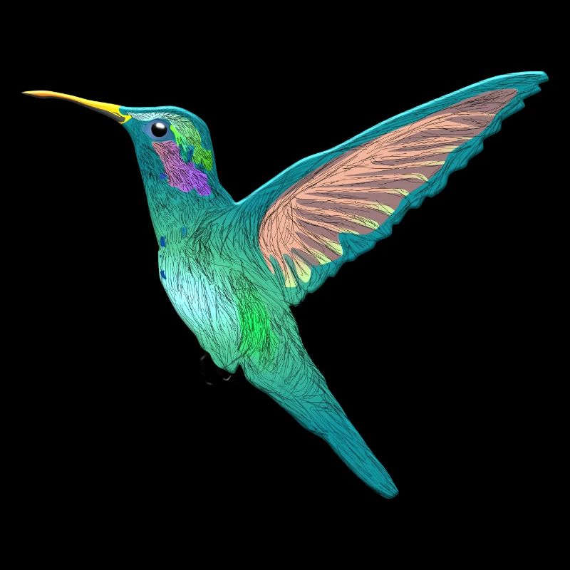 Colibri le plus petit oiseau du monde Bee Nutar Elf
