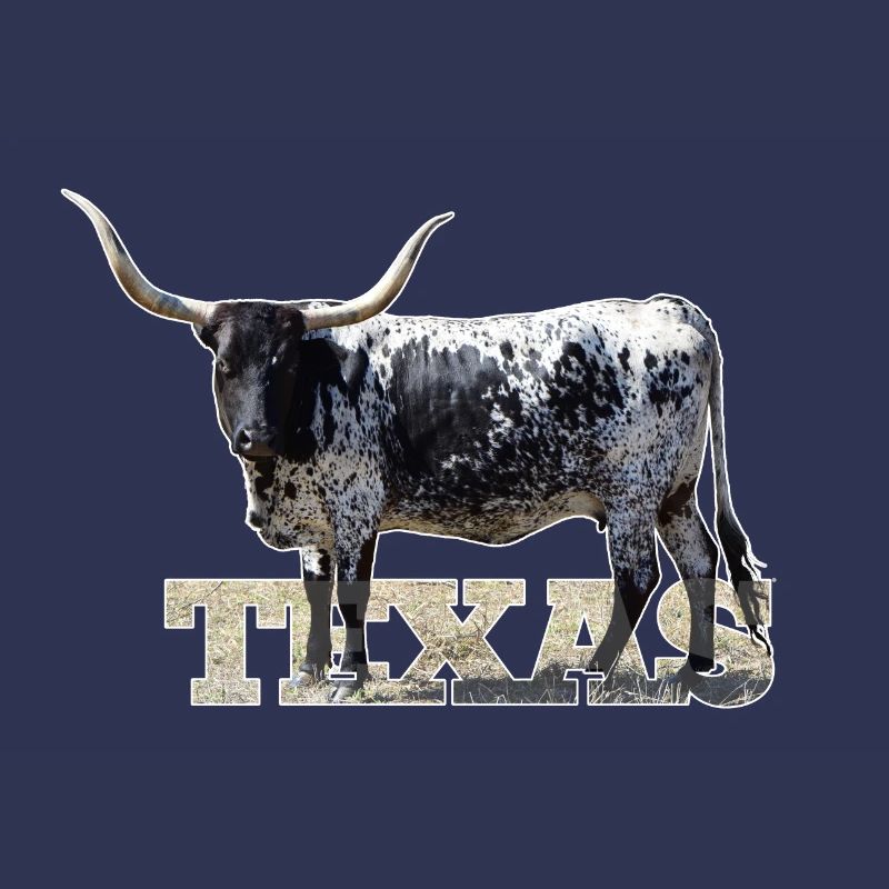 Texas Longhorns