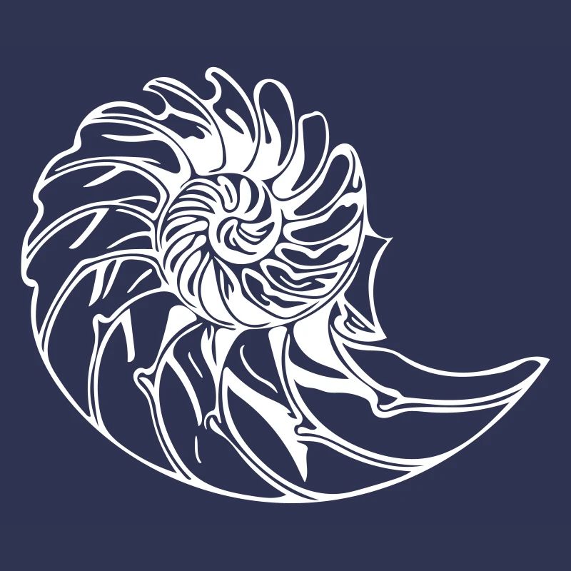 Elegant shell