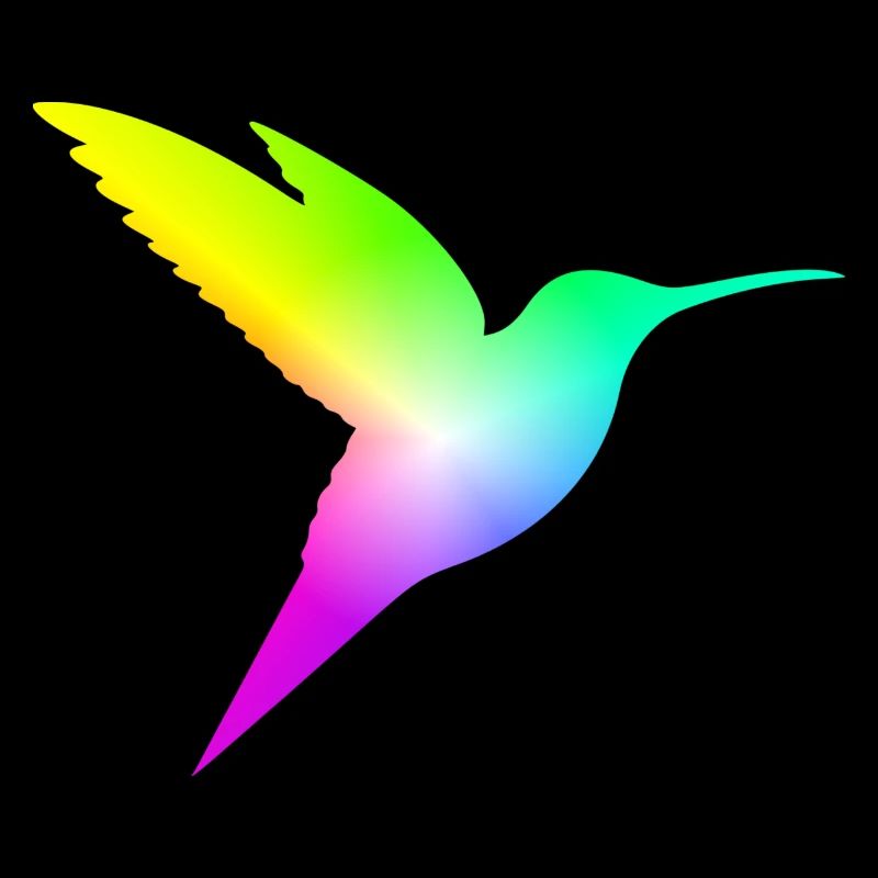 Oiseau dégradé