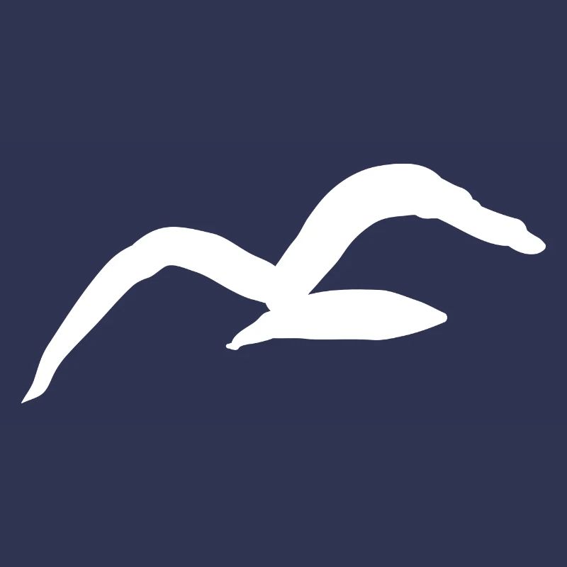 Möwe