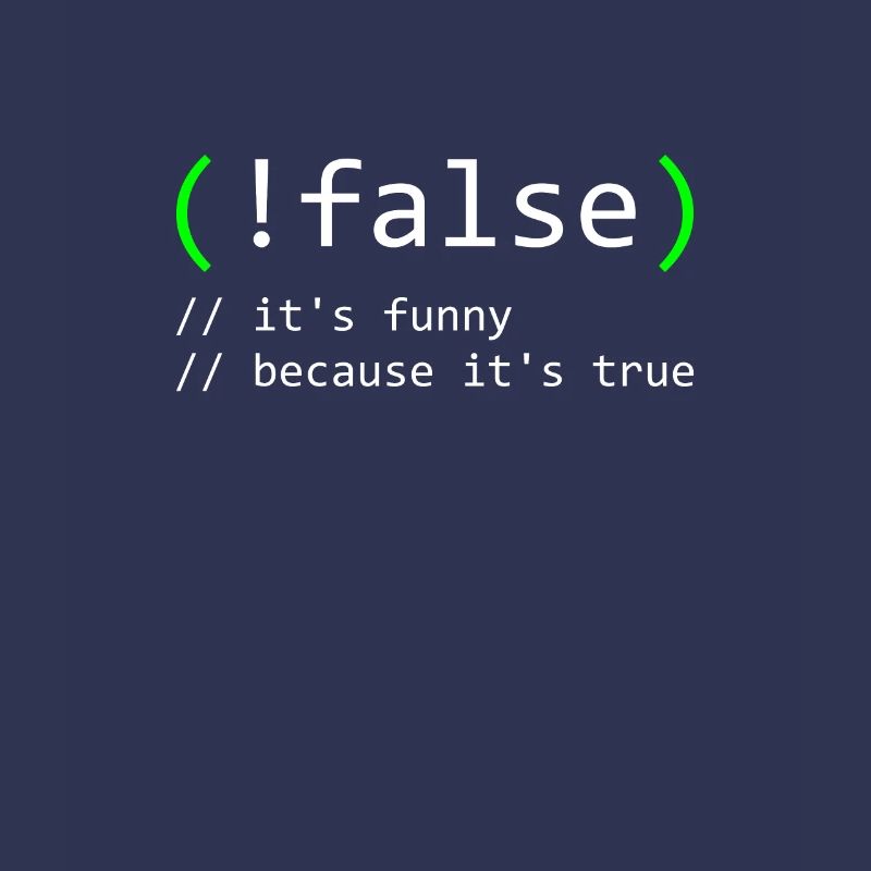 Programmer Humor false true funny Nerd Geek