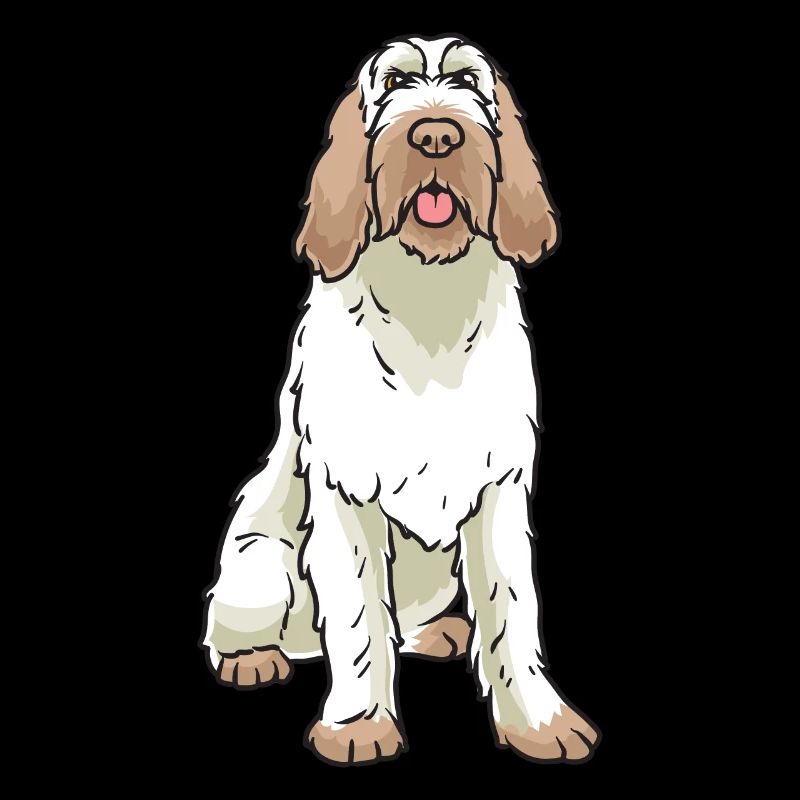 Spinone Italiano Chien