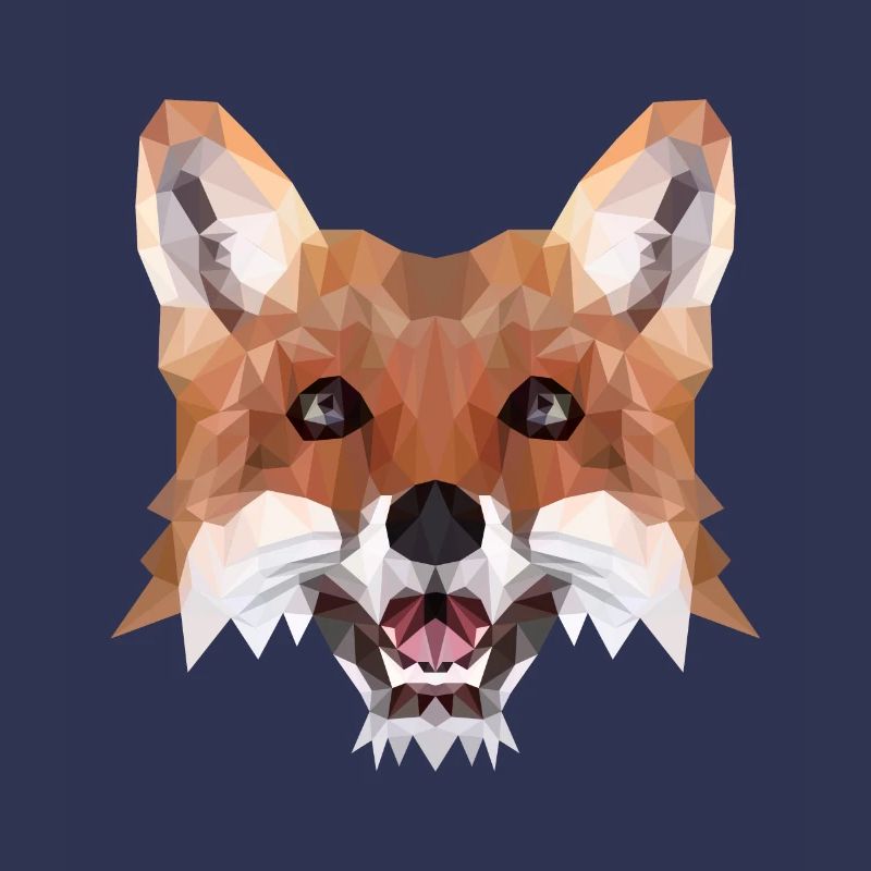 Fuchs Polygon Geometrisch Waldtier Geschenkidee
