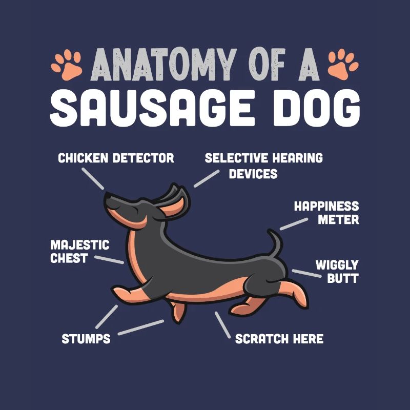Anatomie eines Wursthundes lustiges Dackelgeschenk