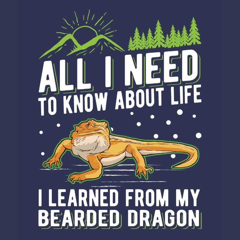 Bartagame Dragon barbu
