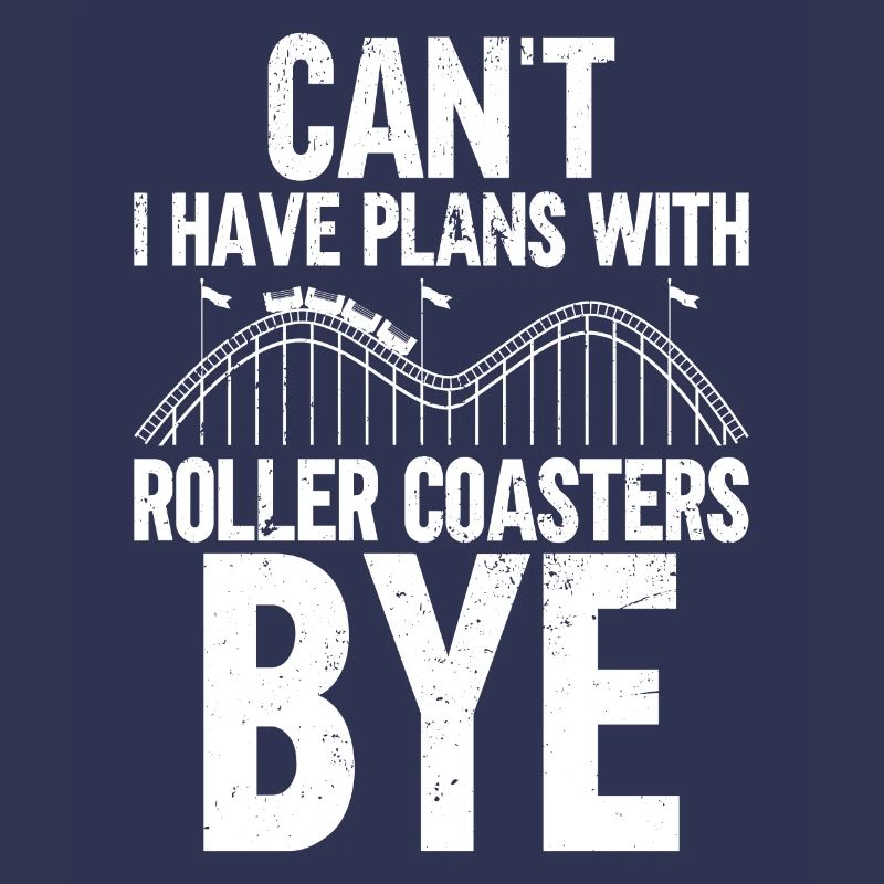 Roller Coaster Amusement Park Roller Coaster Ride