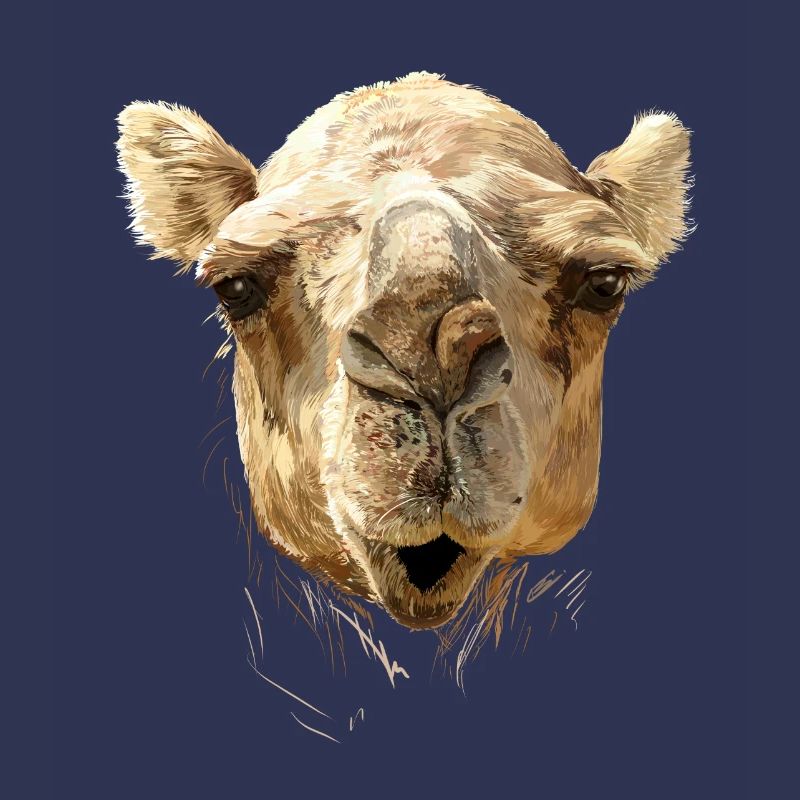 Camel