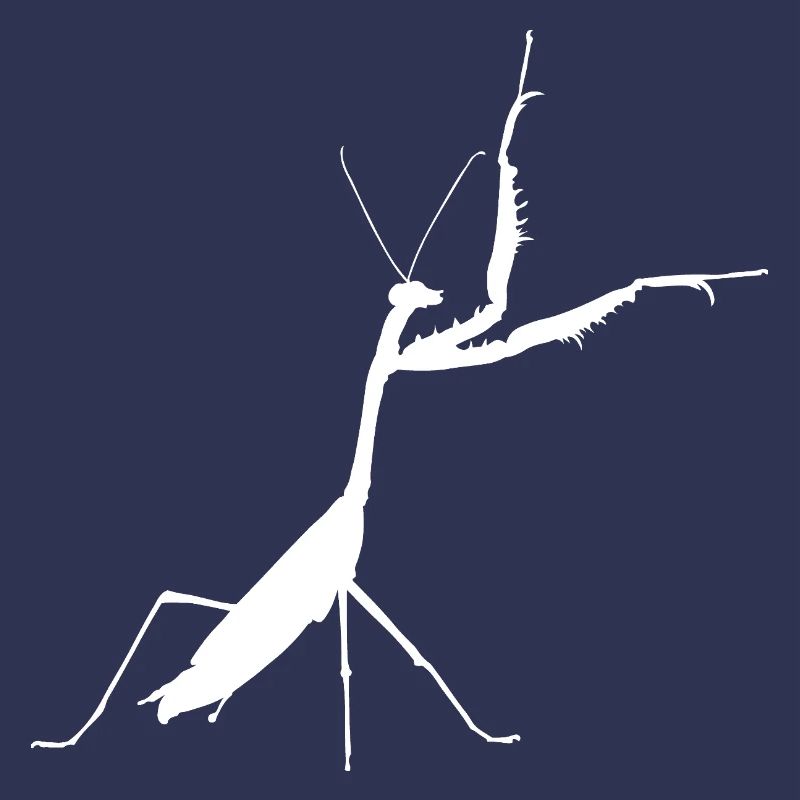 Praying mantis white