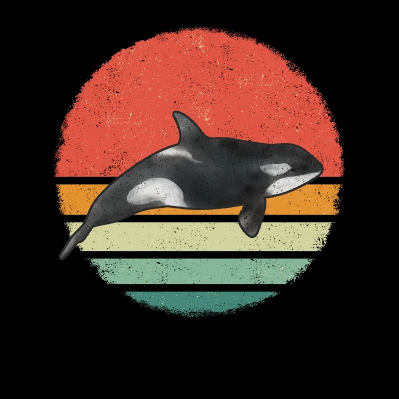 Orca Killerwal Ozean Tier Wale