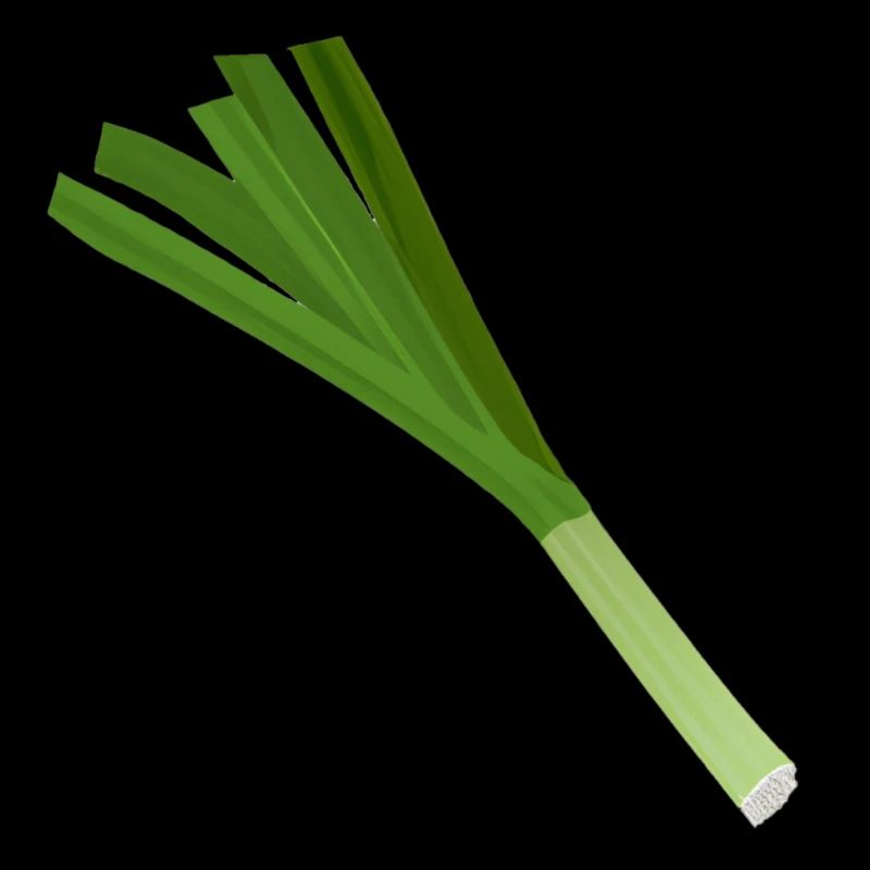 Leek