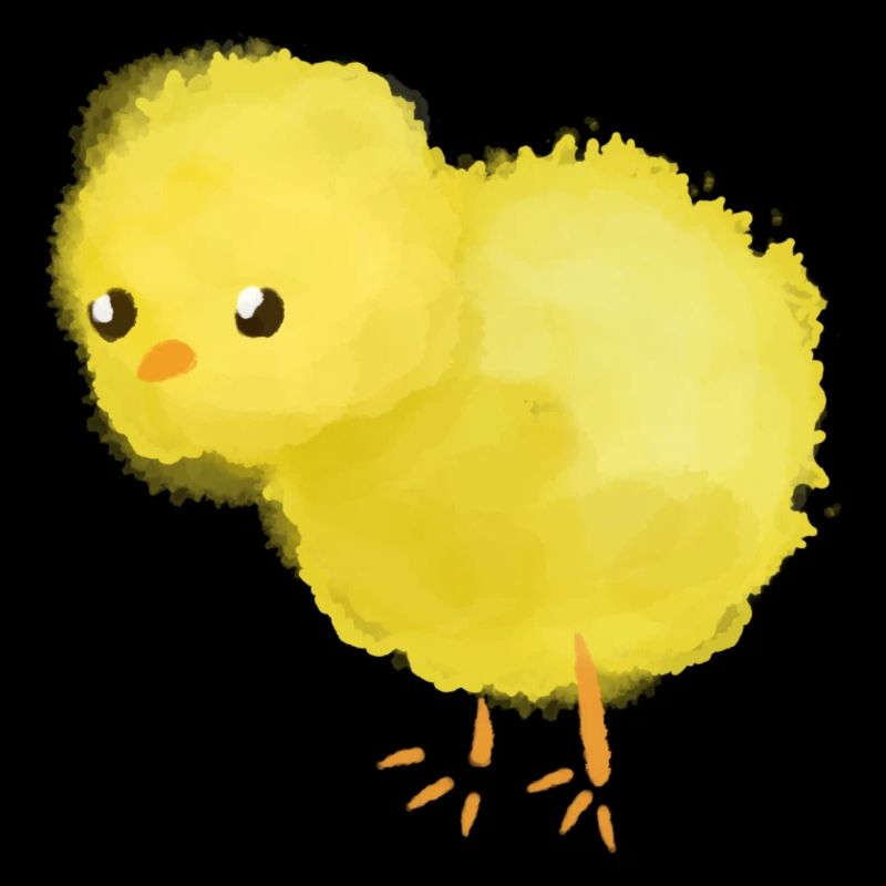 Les poussins