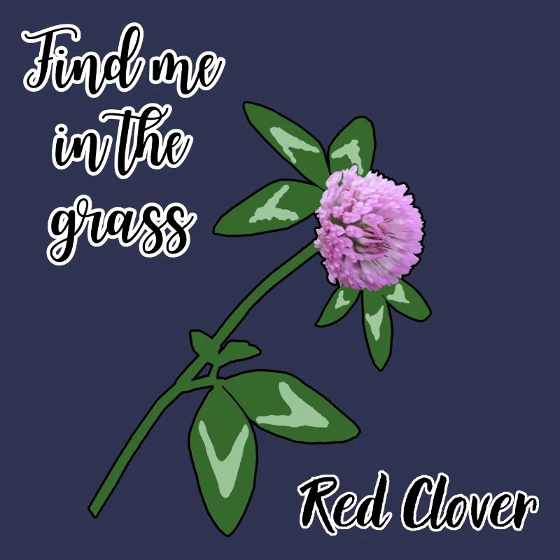 Finde mich im Gras... Rotklee