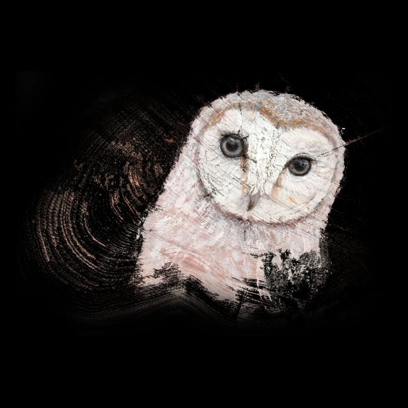 Eule auf Holz