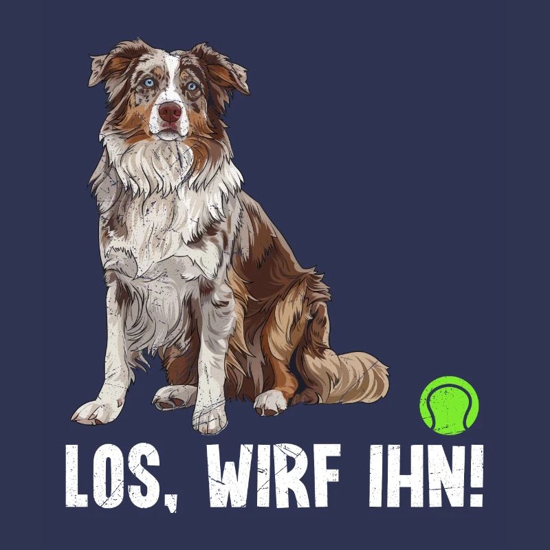 Australian Shepherd COME ON, THROW IT! Fun