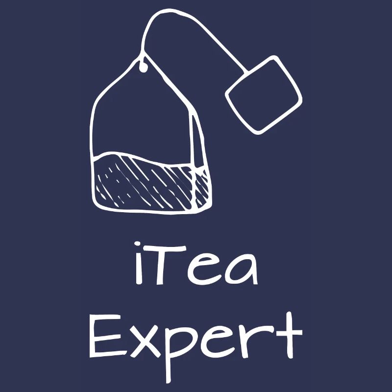Itea expert Programming Informatic Gift