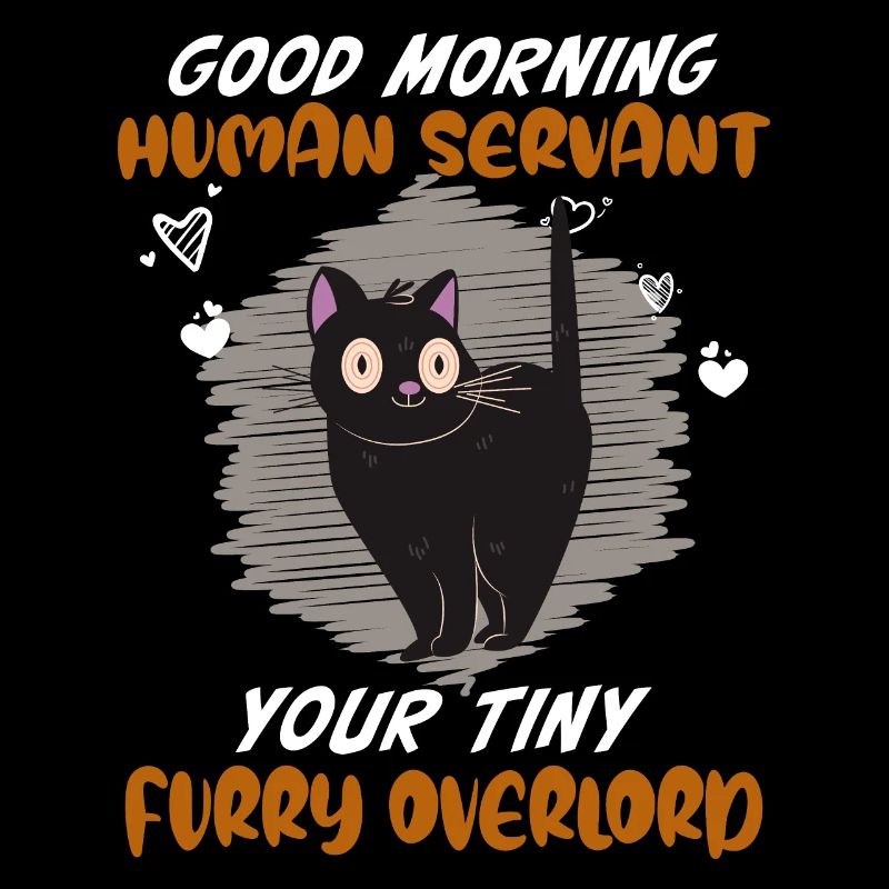 Bonjour, drôle de chat serviteur humain