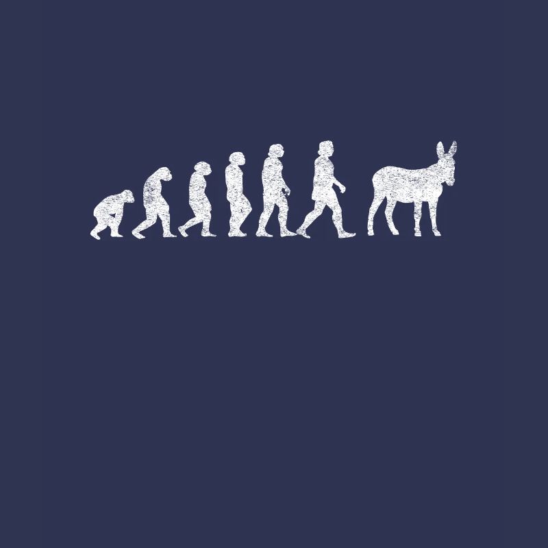 Donkey Mules Mules Mulis Evolution