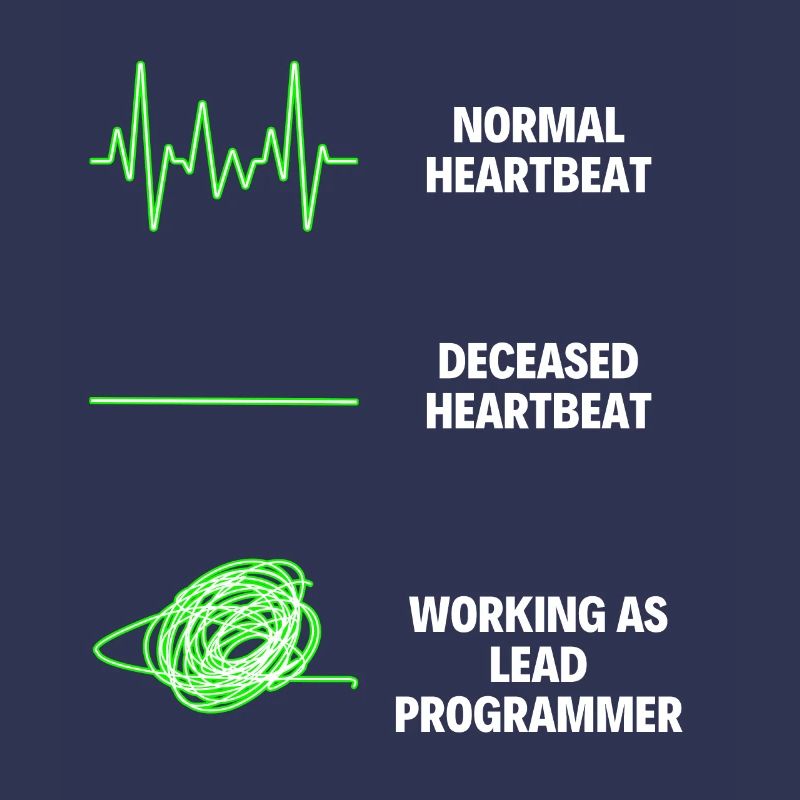 Lead Programmer Worker Funny Programmer