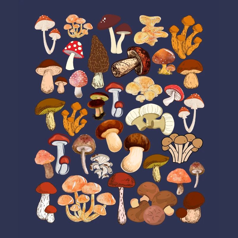 Chasse aux champignons