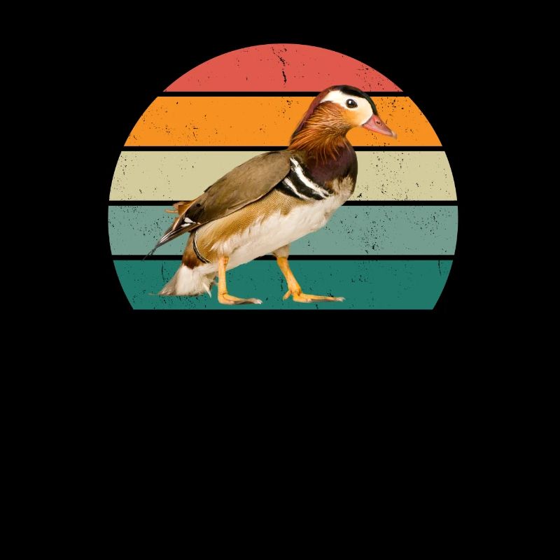 Ducks Swimming Fly Waddle Rubber Duck Duck