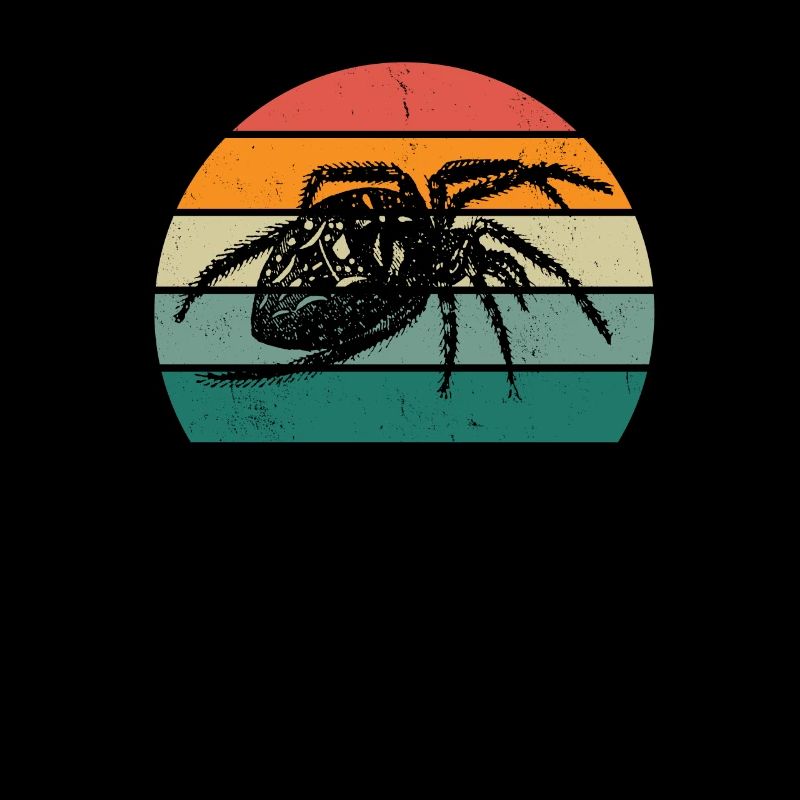 Spinnen Spinnennetz Netz arachnide Beine 8 Spinne