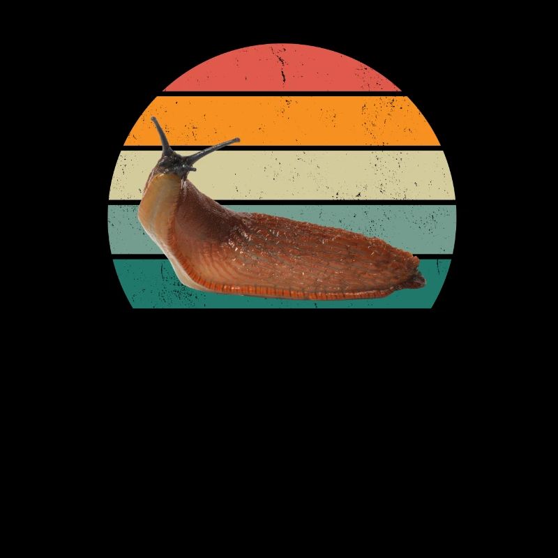 Slug insects Slug shell Nudibranch