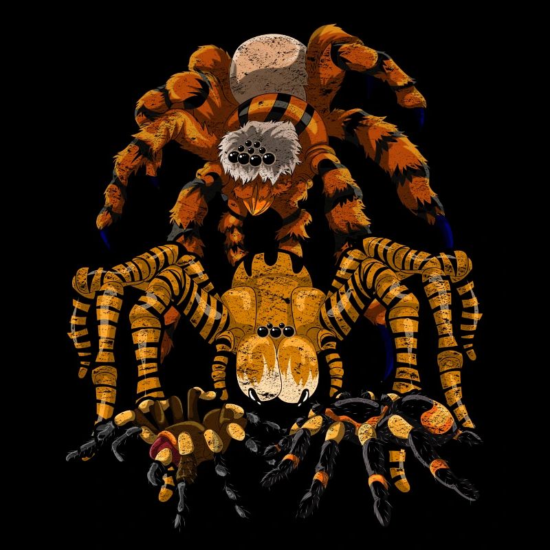 Tarentule Arachnide Tarentule Cadeau Araignée