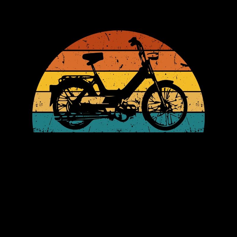 DDR Moped Oldtimer Roller Mofa Scooter 2 Takter