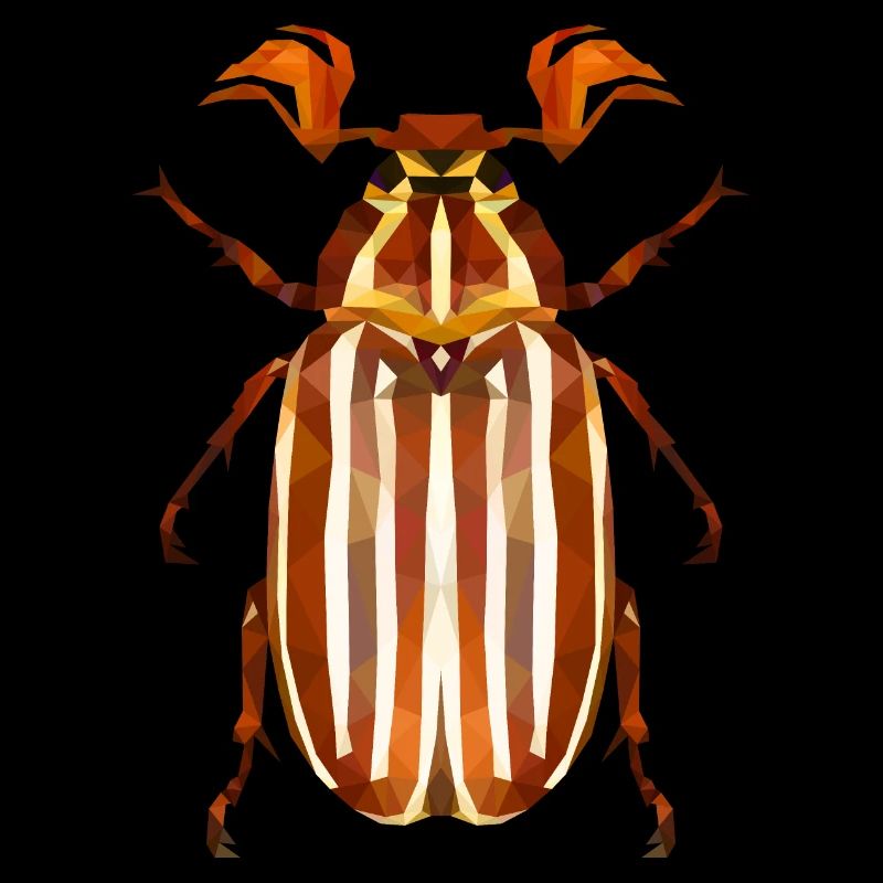Coléoptère de la pastèque
