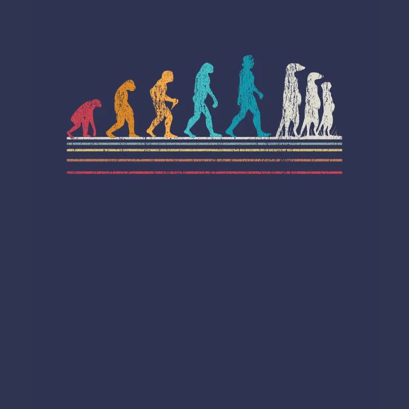 Erdmännchen Evolution Erdmännchen