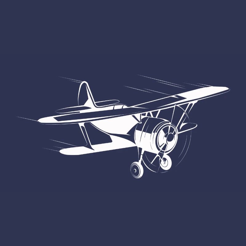plane 2