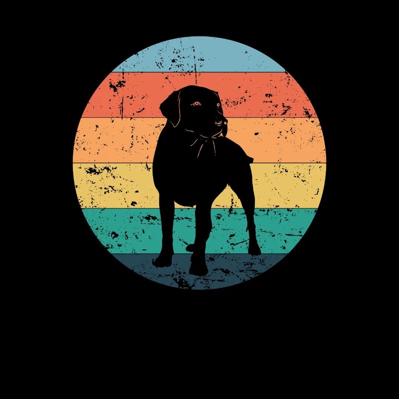 Ami de chien labrador