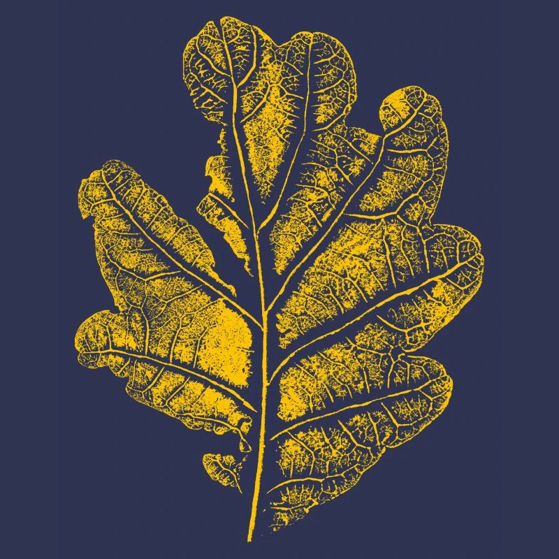 Blatt Eiche/ Eichenblatt