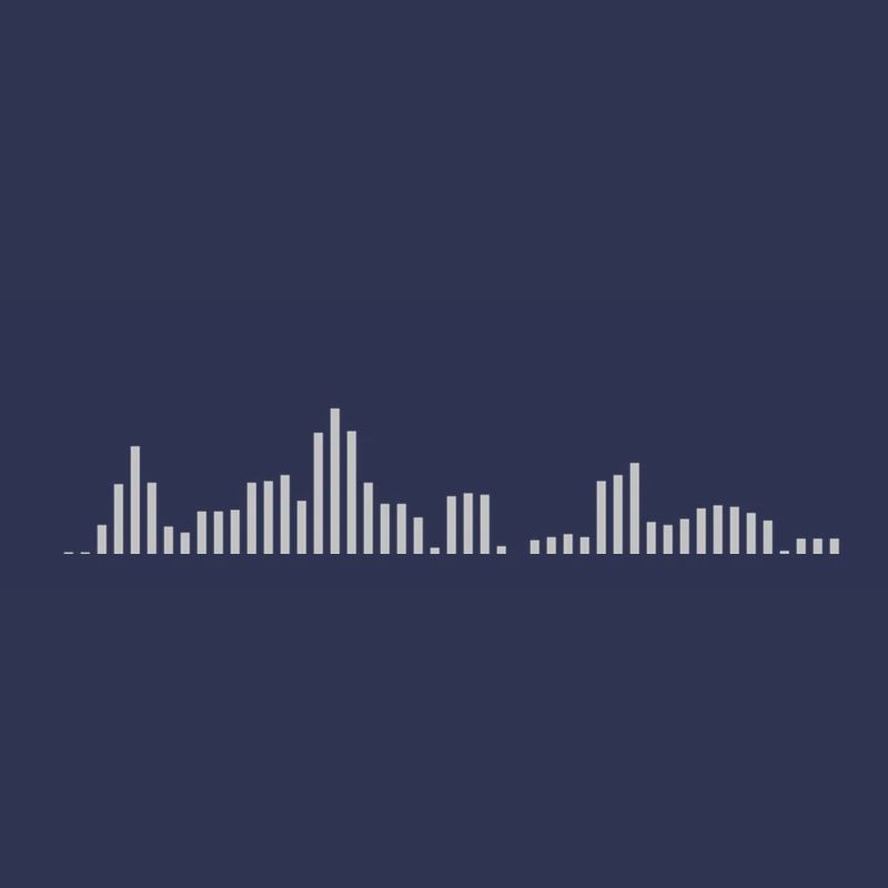 Visualizer
