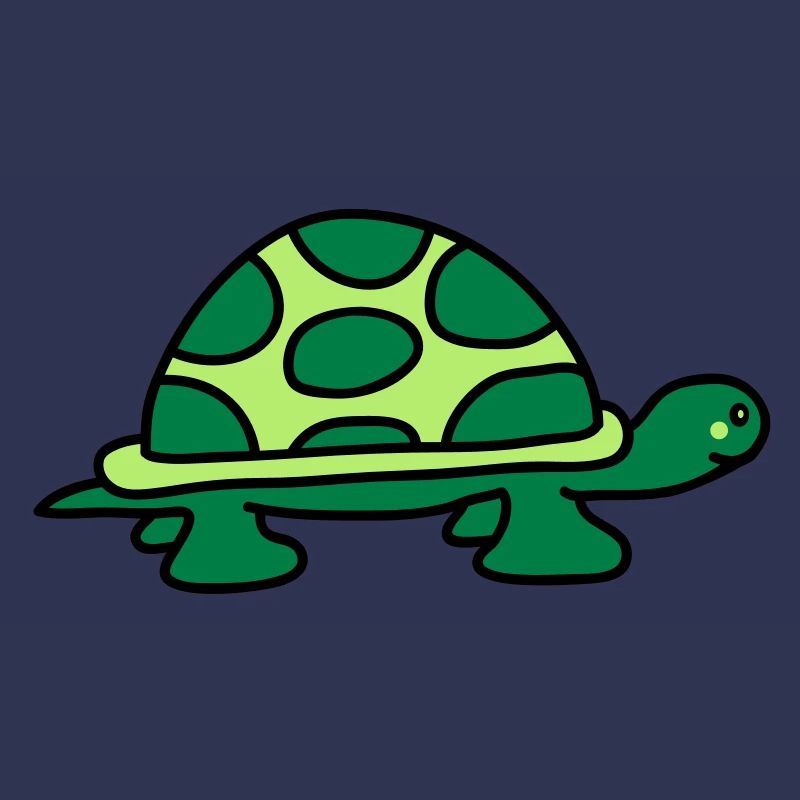turtle