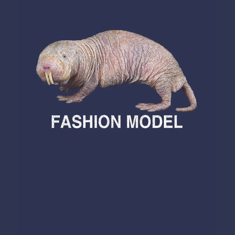 Nude mole mole animal