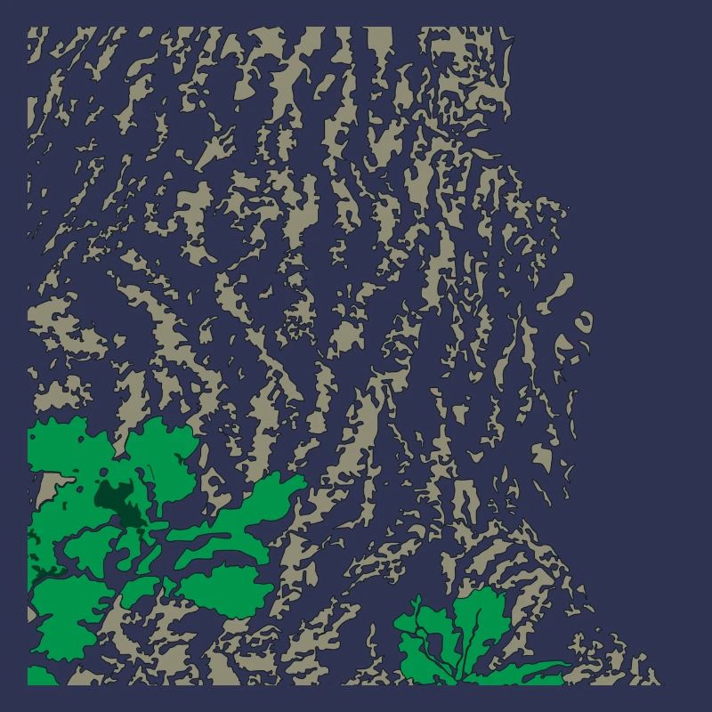 Eiche Eichenbaum Rinde