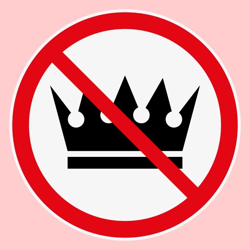 Pas de rois ! (Projet de protestation / 3C)