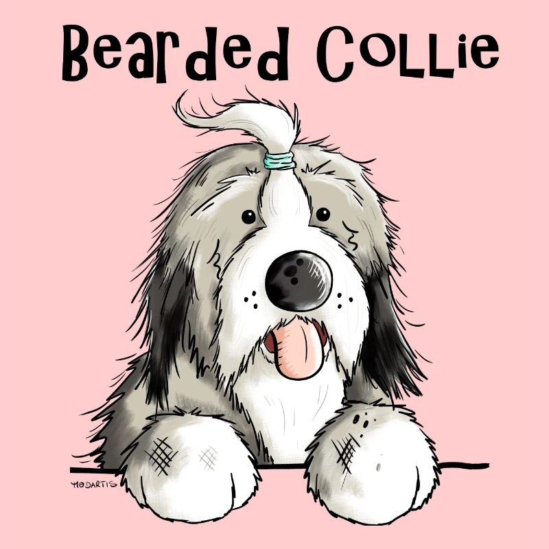 Mignon Bearded Collie