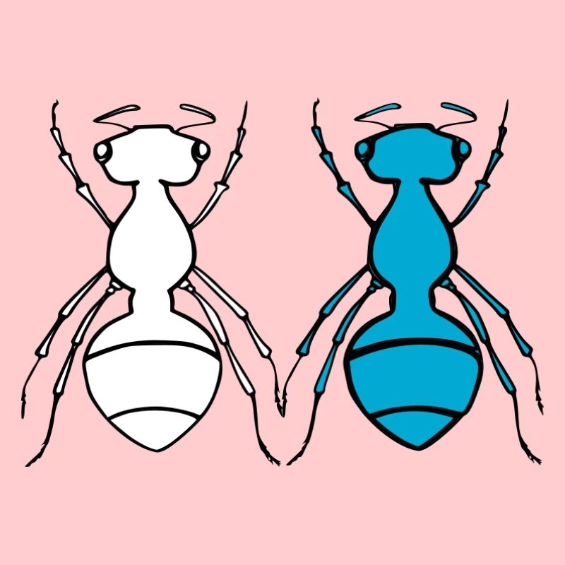 Ant Duo