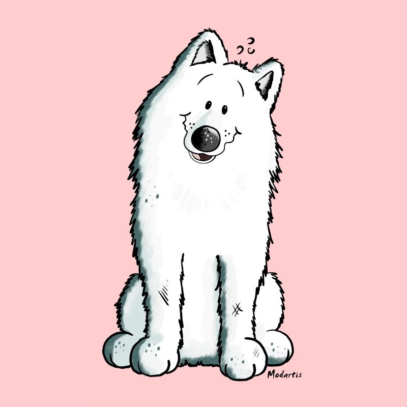 Cute Samoyed