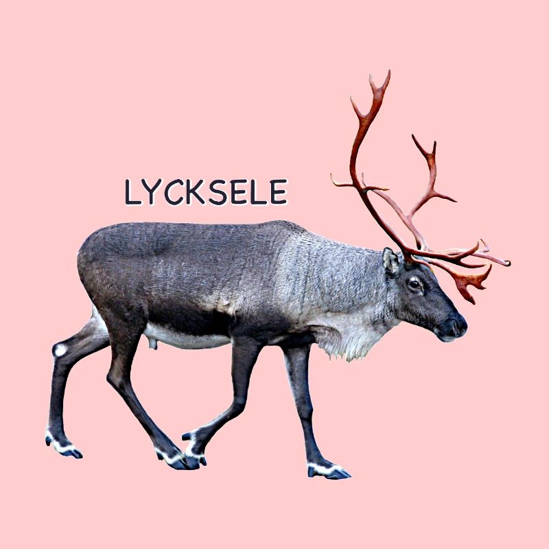 LYCKSELE