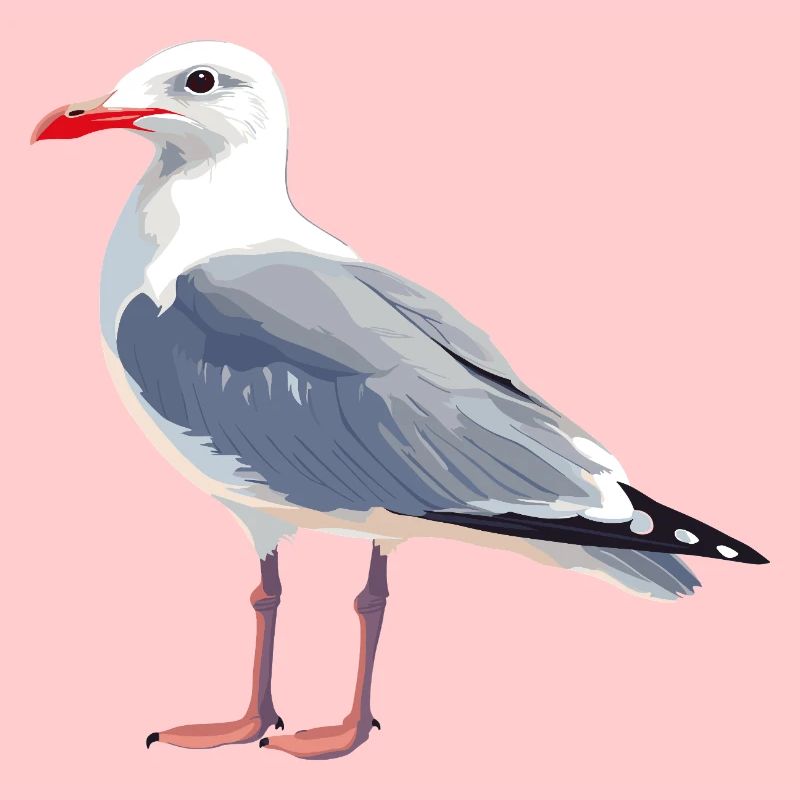 Seagull