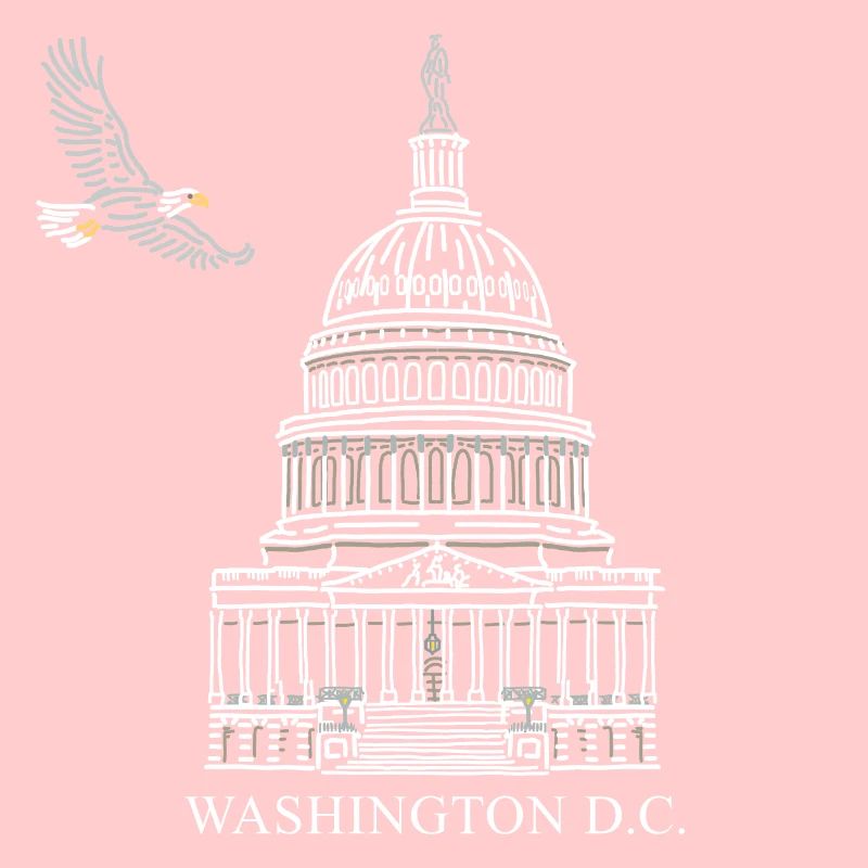 Washington D.C., Structure du Capitole, Pygargue à tête blanche