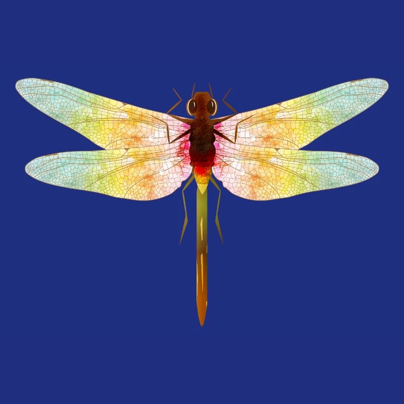 Libellule irisée – motif insecte en filigrane