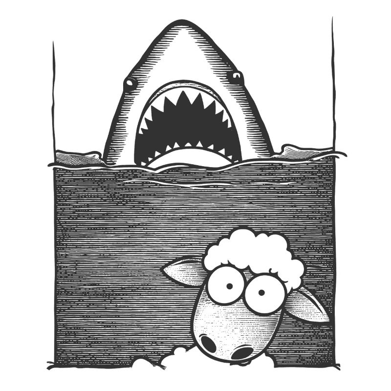 Requin Mouton