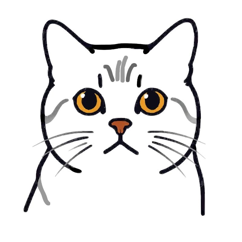 Teodoro le Chat - Tête de Chat